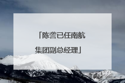 陈詟已任南航集团副总经理