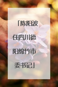 陈阳波任四川德阳绵竹市委书记