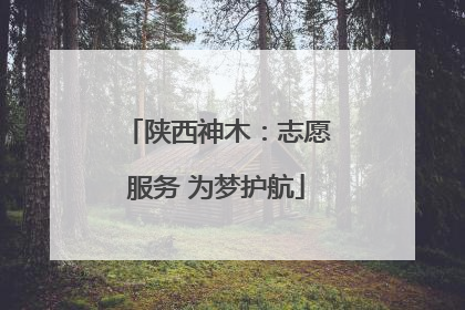 陕西神木：志愿服务 为梦护航