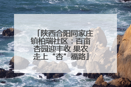 陕西合阳同家庄镇柏瑞社区：百亩杏园迎丰收 果农走上“杏”福路