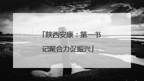 陕西安康：第一书记聚合力促振兴