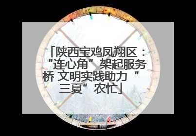 陕西宝鸡凤翔区：“连心角”架起服务桥 文明实践助力“三夏”农忙