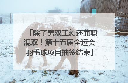 除了男双王昶还兼职混双！第十五届全运会羽毛球项目抽签结束
