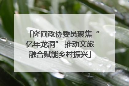 隆回政协委员聚焦“亿年龙洞” 推动文旅融合赋能乡村振兴