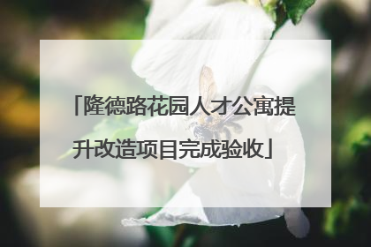 隆德路花园人才公寓提升改造项目完成验收