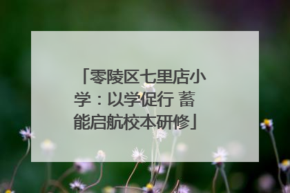 零陵区七里店小学：以学促行 蓄能启航校本研修