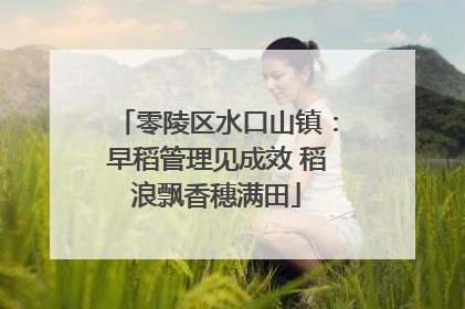 零陵区水口山镇：早稻管理见成效 稻浪飘香穗满田