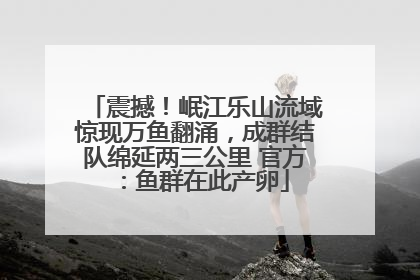 震撼！岷江乐山流域惊现万鱼翻涌，成群结队绵延两三公里 官方：鱼群在此产卵