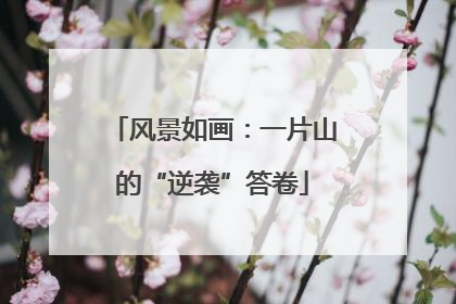 风景如画：一片山的“逆袭”答卷