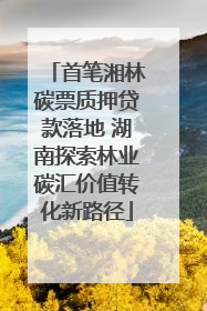 首笔湘林碳票质押贷款落地 湖南探索林业碳汇价值转化新路径