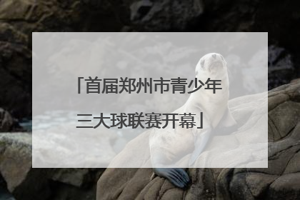 首届郑州市青少年三大球联赛开幕