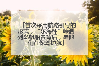 首次采用航路引导的形式，“东海杯”嵊泗列岛帆船赛背后，是他们在保驾护航
