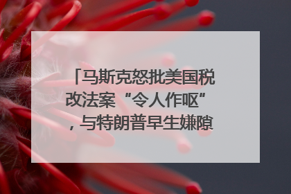 马斯克怒批美国税改法案“令人作呕”，与特朗普早生嫌隙？｜国际识局