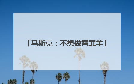 马斯克：不想做替罪羊