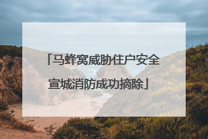 马蜂窝威胁住户安全 宣城消防成功摘除