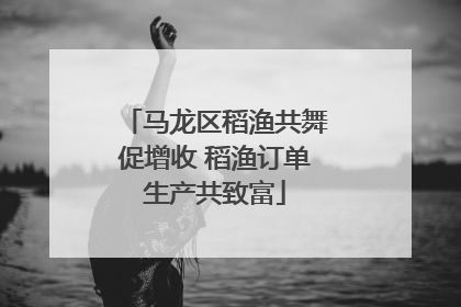 马龙区稻渔共舞促增收 稻渔订单生产共致富