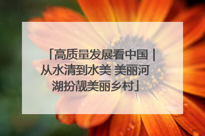 高质量发展看中国｜从水清到水美 美丽河湖扮靓美丽乡村