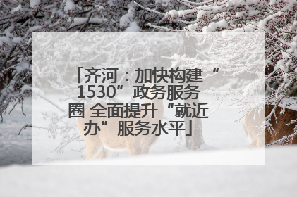 齐河：加快构建“1530”政务服务圈 全面提升“就近办”服务水平