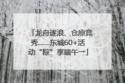 龙舟逐浪、仓廪竞秀……东城60+活动“粽”享端午→