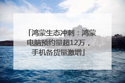 鸿蒙生态冲刺：鸿蒙电脑预约量超12万，手机备货量激增