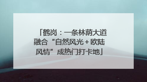 鹤岗：一条林荫大道融合“自然风光＋欧陆风情”成热门打卡地