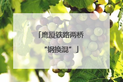 鹰厦铁路两桥“钢换混”
