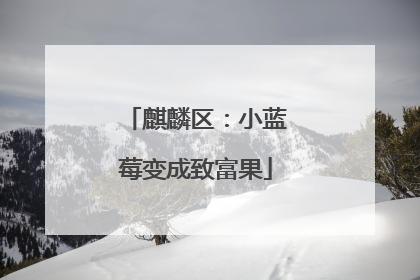 麒麟区：小蓝莓变成致富果