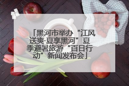 黑河市举办“江风送爽·夏享黑河”夏季避暑旅游“百日行动”新闻发布会