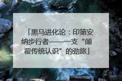 黑马进化论：印第安纳步行者——一支“颠覆传统认识”的劲旅