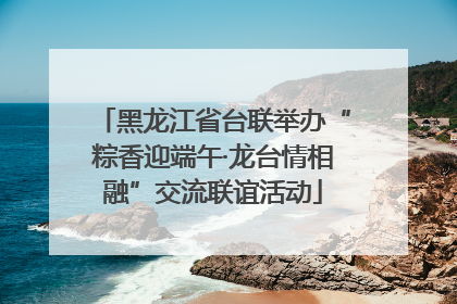 黑龙江省台联举办“粽香迎端午·龙台情相融”交流联谊活动
