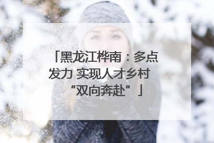 黑龙江桦南：多点发力 实现人才乡村“双向奔赴”