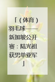 （体育）羽毛球——新加坡公开赛：陆光祖获男单亚军