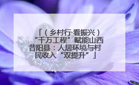 （乡村行·看振兴）“千万工程”赋能山西昔阳县：人居环境与村民收入“双提升”