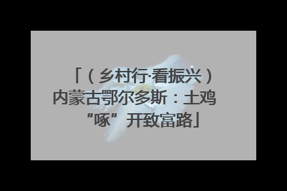 （乡村行·看振兴）内蒙古鄂尔多斯：土鸡“啄”开致富路