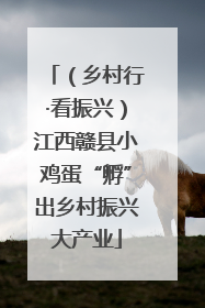 （乡村行·看振兴）江西赣县小鸡蛋“孵”出乡村振兴大产业