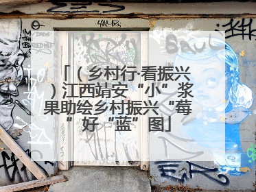 （乡村行·看振兴）江西靖安“小”浆果助绘乡村振兴“莓”好“蓝”图
