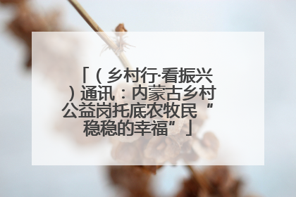 （乡村行·看振兴）通讯：内蒙古乡村公益岗托底农牧民“稳稳的幸福”