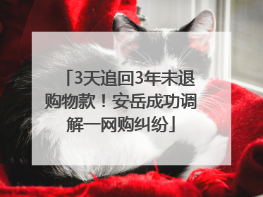 3天追回3年未退购物款！安岳成功调解一网购纠纷