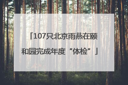 107只北京雨燕在颐和园完成年度“体检”