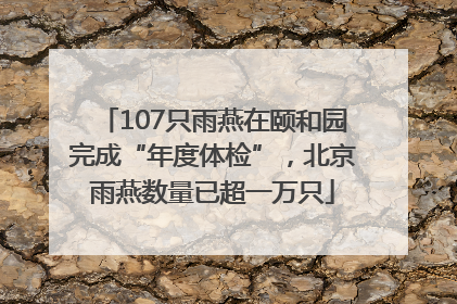 107只雨燕在颐和园完成“年度体检”，北京雨燕数量已超一万只