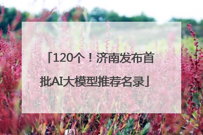 120个！济南发布首批AI大模型推荐名录