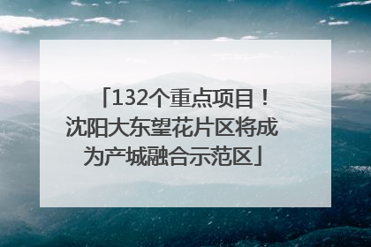 132个重点项目！沈阳大东望花片区将成为产城融合示范区