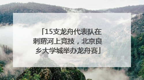 15支龙舟代表队在刺猬河上竞技，北京良乡大学城举办龙舟赛