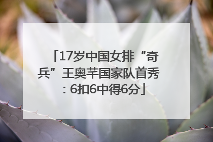 17岁中国女排“奇兵”王奥芊国家队首秀：6扣6中得6分