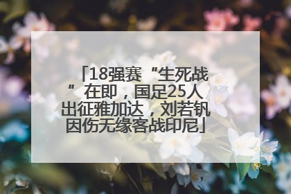 18强赛“生死战”在即，国足25人出征雅加达，刘若钒因伤无缘客战印尼