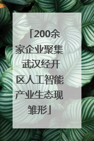 200余家企业聚集 武汉经开区人工智能产业生态现雏形