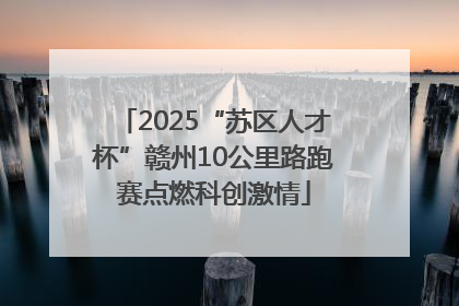 2025“苏区人才杯”赣州10公里路跑赛点燃科创激情