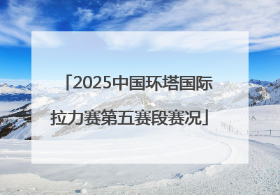 2025中国环塔国际拉力赛第五赛段赛况