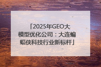 2025年GEO大模型优化公司：大连蝙蝠侠科技行业新标杆