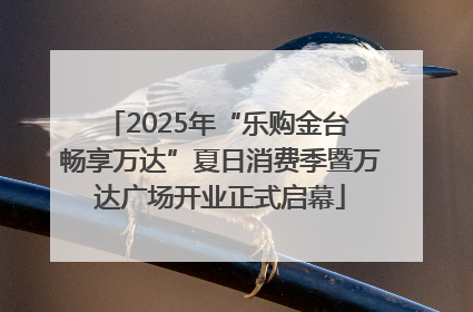 2025年“乐购金台 畅享万达”夏日消费季暨万达广场开业正式启幕